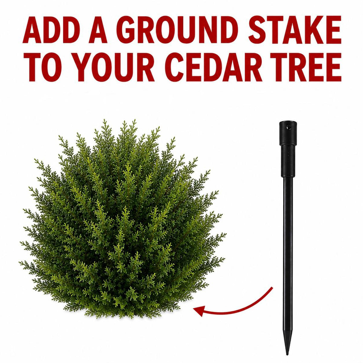 Add Ground Stake for Your Cedar Tree