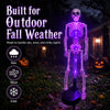 Solar Skull Garden Light