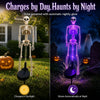 Solar Skull Garden Light