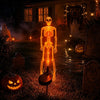 Solar Skull Garden Light