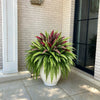 🔥 Last Day Sale Price | UV Resistant Artificial Fern And Red Dracaena