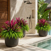 🔥 Last Day Sale Price | UV Resistant Artificial Fern And Red Dracaena