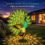 🔥 Limited time-50% OFF Solar Peacock Garden Sculpture Light Transform Your Outdoor Space