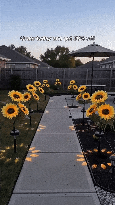 SunGlow Solar Sunflowers