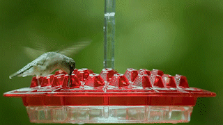Garden Hummingbird Flower Feeder