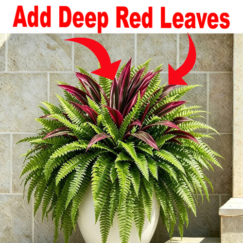 Add Deep Red Leaves