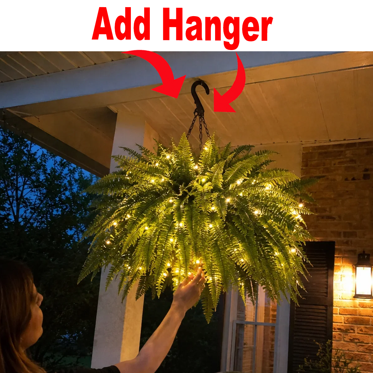Add Hanger for Boston Fern
