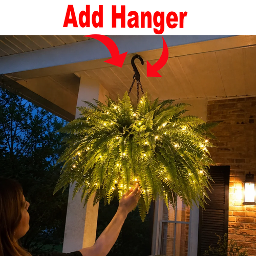 Add Hanger for Boston Fern