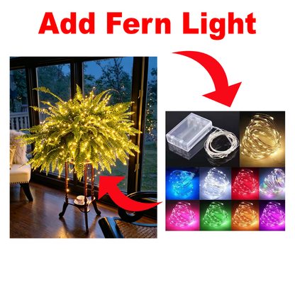 Add Fern Light