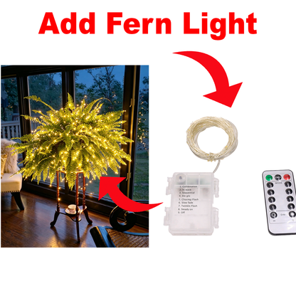 Add Fern Light