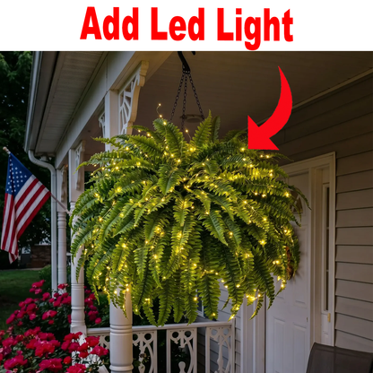 Add Fern Light